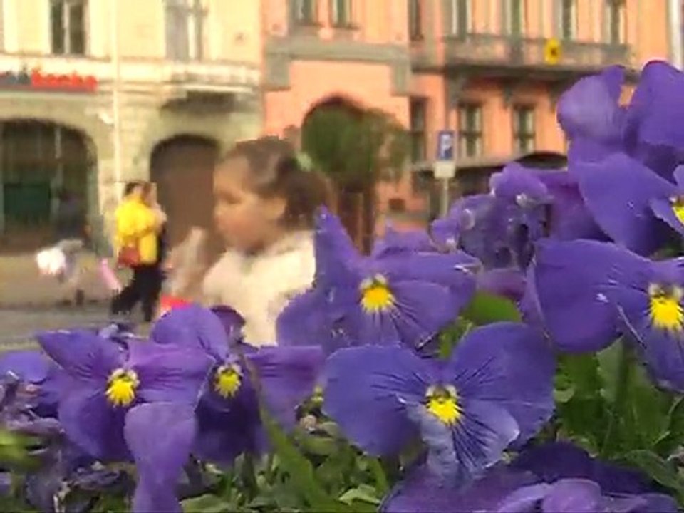 Riga