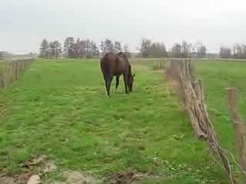 Mirabeau