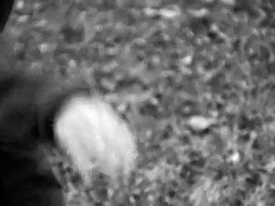 LeRoy Brown - Beatsuite Cinema