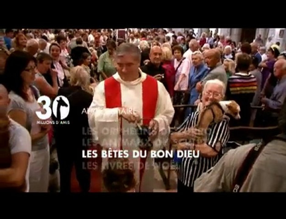 Sommaire émission 30 Millions d'amis du 12 12 2009