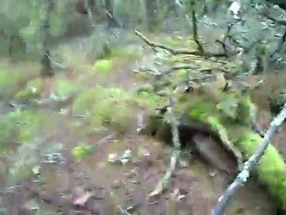 Sortie du 9/12/09 au LD "Ron dé Trécénious" rapproché