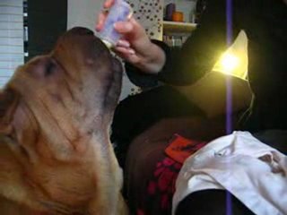 D'jessie James des LI 15 jours !