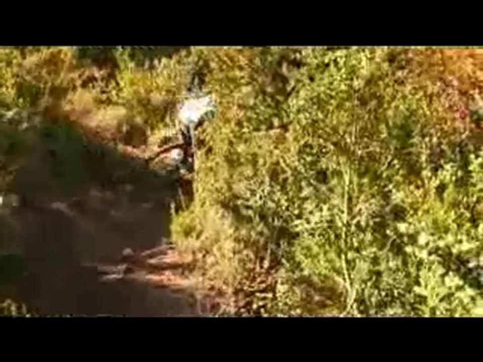 bos engeneering promo