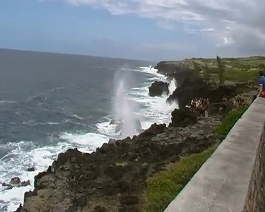 Un "souffleur" sur la côte sauvage de la Réunion