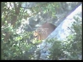 meryem oğlu isa mehdi