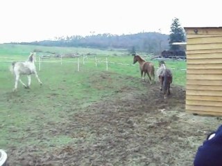 aigoual,viou et sheitan