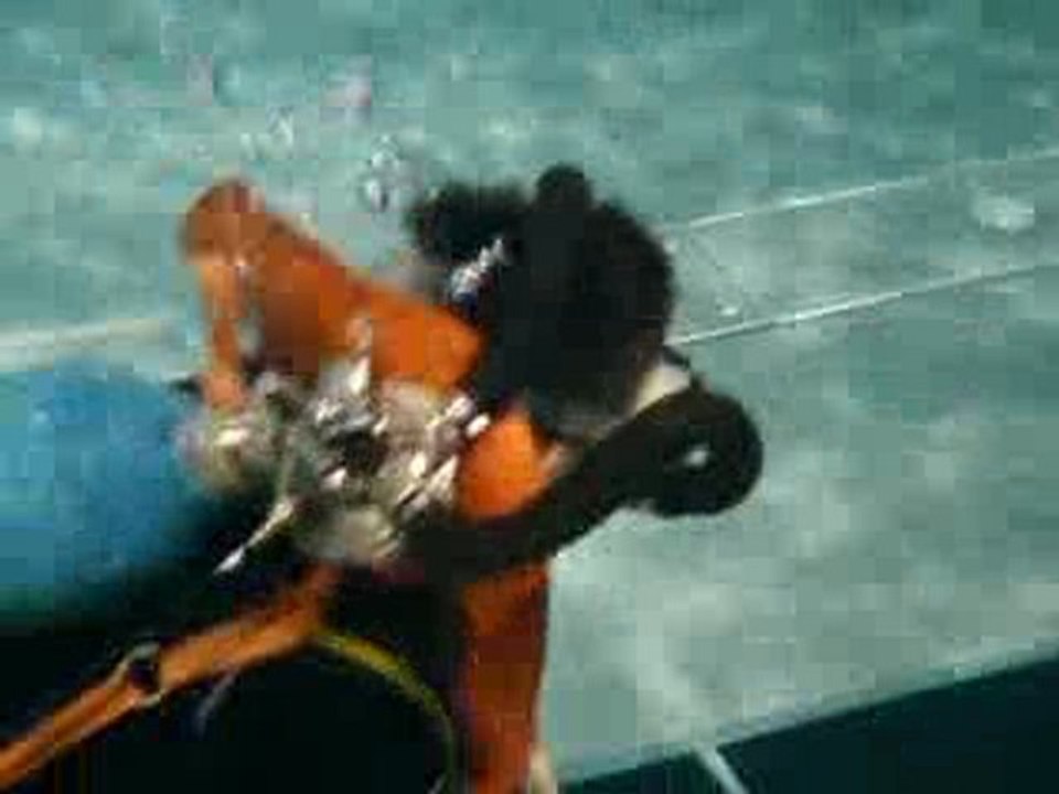 Bretelles et collerette