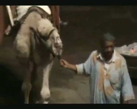 HAMID Bouchnak حمـيد BAMBARA Exlu-Clip Online2010