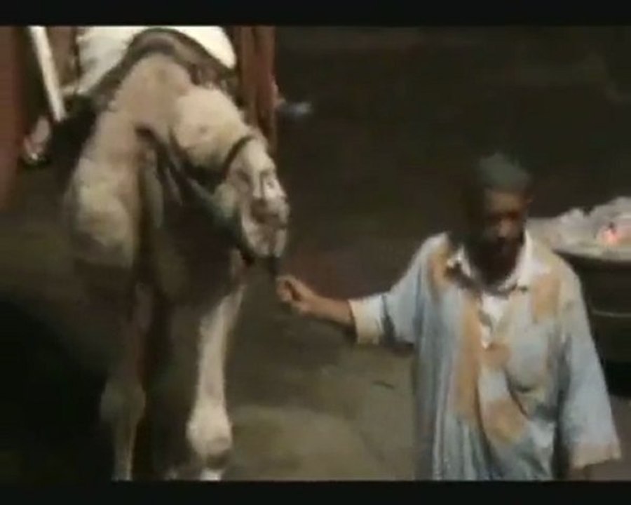HAMID Bouchnak حمـيد BAMBARA" Exlu-Clip Online2010
