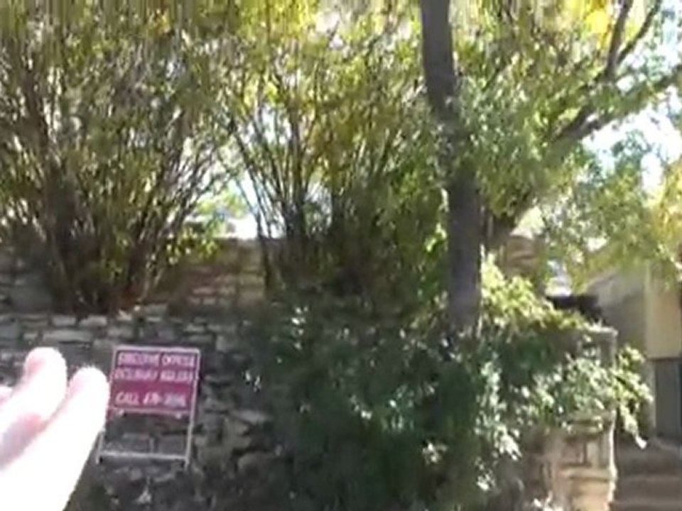 904 West Eco-friendly Downtown Austin Live Work Condo