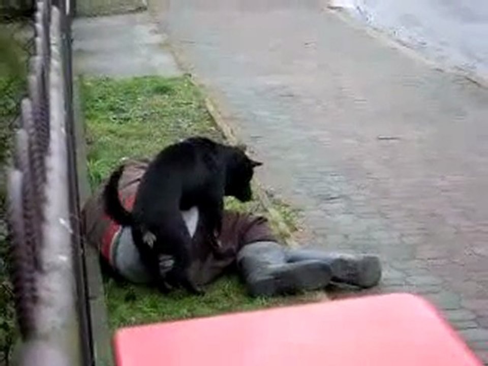 Don't Get so Drunk That You Pass Out