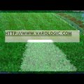 Artificial grass lawn and Artificial grass suppliers