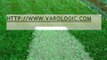 Artificial grass lawn and Artificial grass suppliers