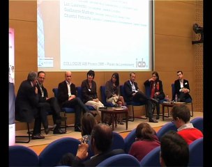 Colloque 2009 : Les annonceurs face au web