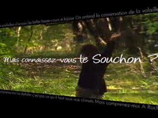 Bande-annonce 'Alain Souchon, le chanteur d'à côté'