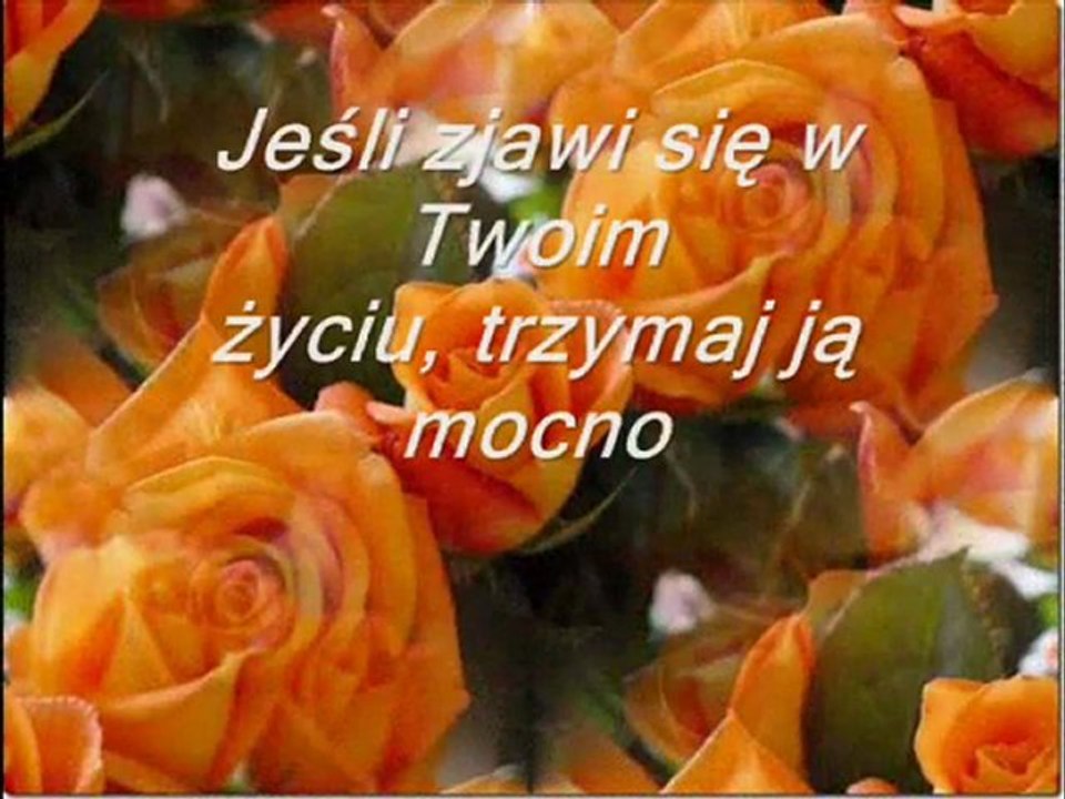 RÓŻE KTÓRE MAJĄ NA IMIĘ PRZYJAŻŃ