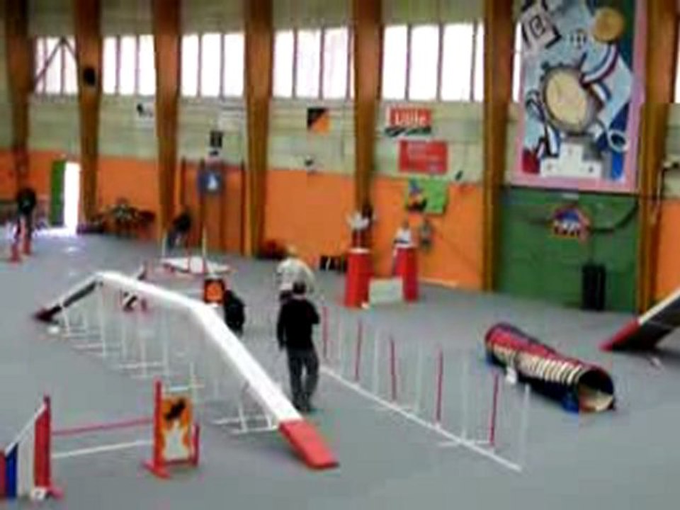 la bouvière des Flandres T'feille et Jean Marie en agility