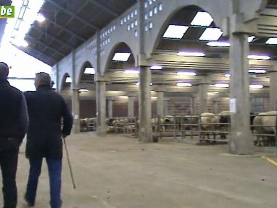 Un marché de Bastogne encore bien vivant