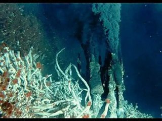 deep ocean creatures