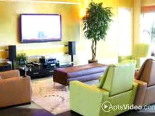 High View Place Apartments in San Antonio, TX-ForRent.com