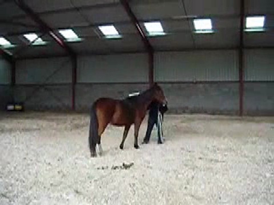 séance éthologie avec Marie Sutter