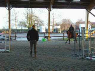 Indian Charm jument 4 ans