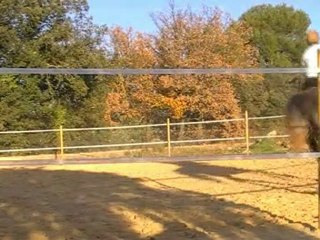 Galatéo LXVIII dans le rond