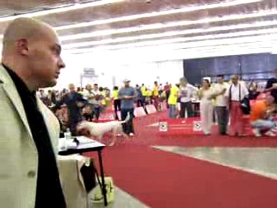 dog show europea zagreb
