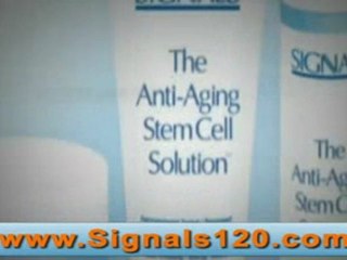 Your just desserts by Signal Wrinkle Cream