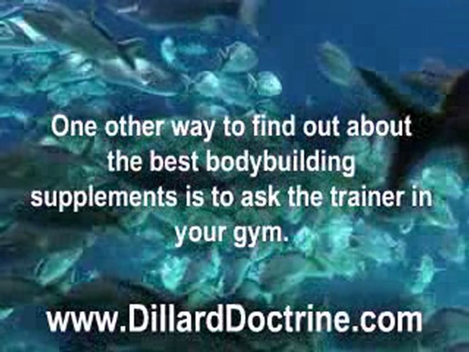 Best Bodybuilding Supplements