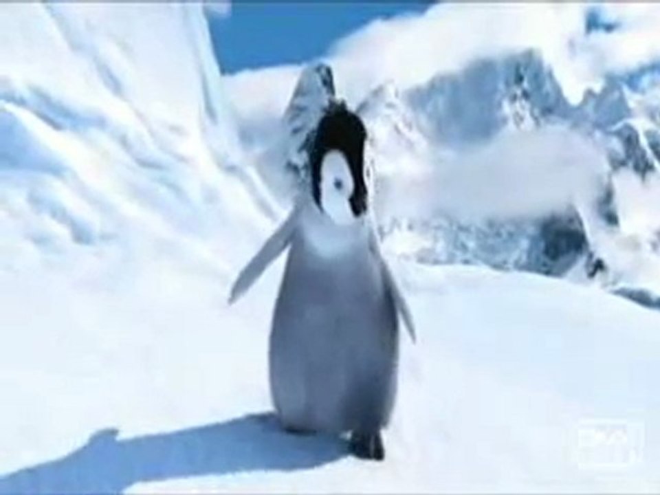 **le pingouin en délire***hervé***
