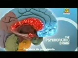 El cerebro de los psicopatas: Adrian Raine