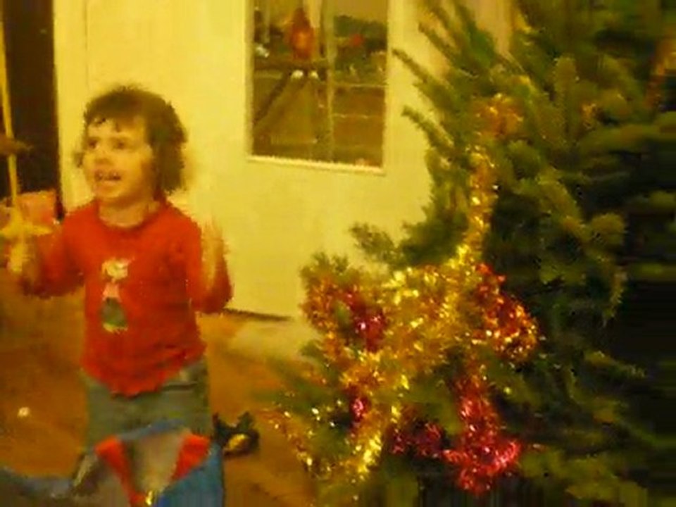 déco du sapin par Lou ( 2009 )