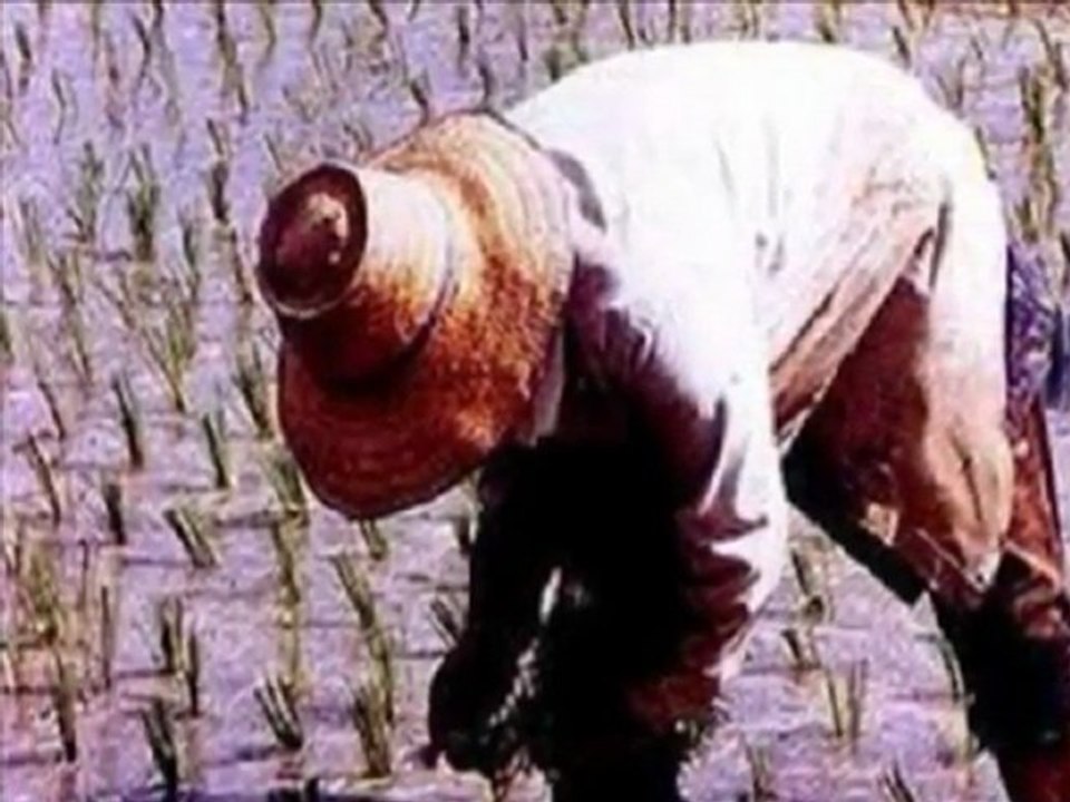 Les Célèbes, peuple de paysans bâtisseurs_0001