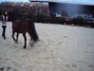 Obstacle a pied !