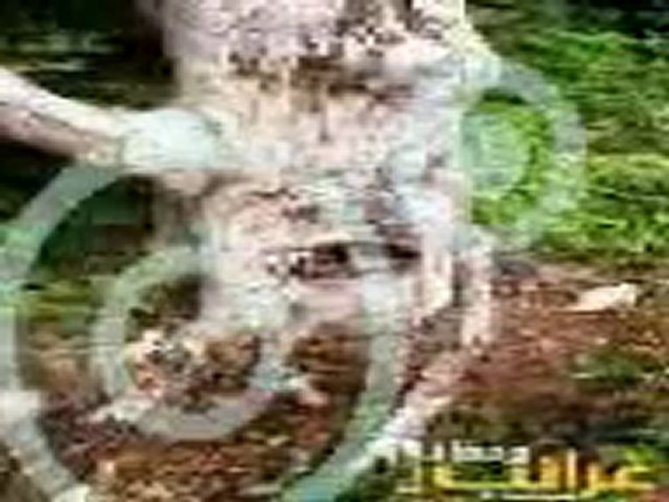 ibret verici görüntüler