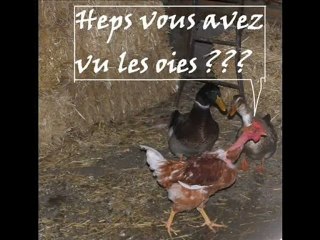 Episode 4 - Le foie gras façon Mixa