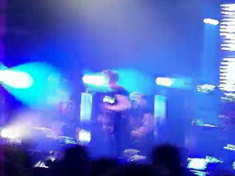 Superbus-Butterfly