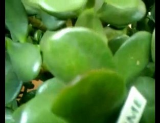 ich bin auf der suche video edit 1