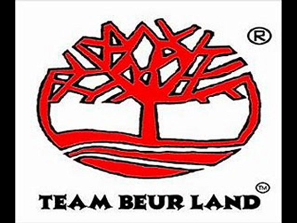 Ludacris -  Area Codes (Part.1) (teambeurlandu78 remix)