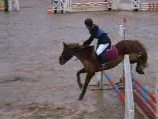 Razes Club Poney 1 sf