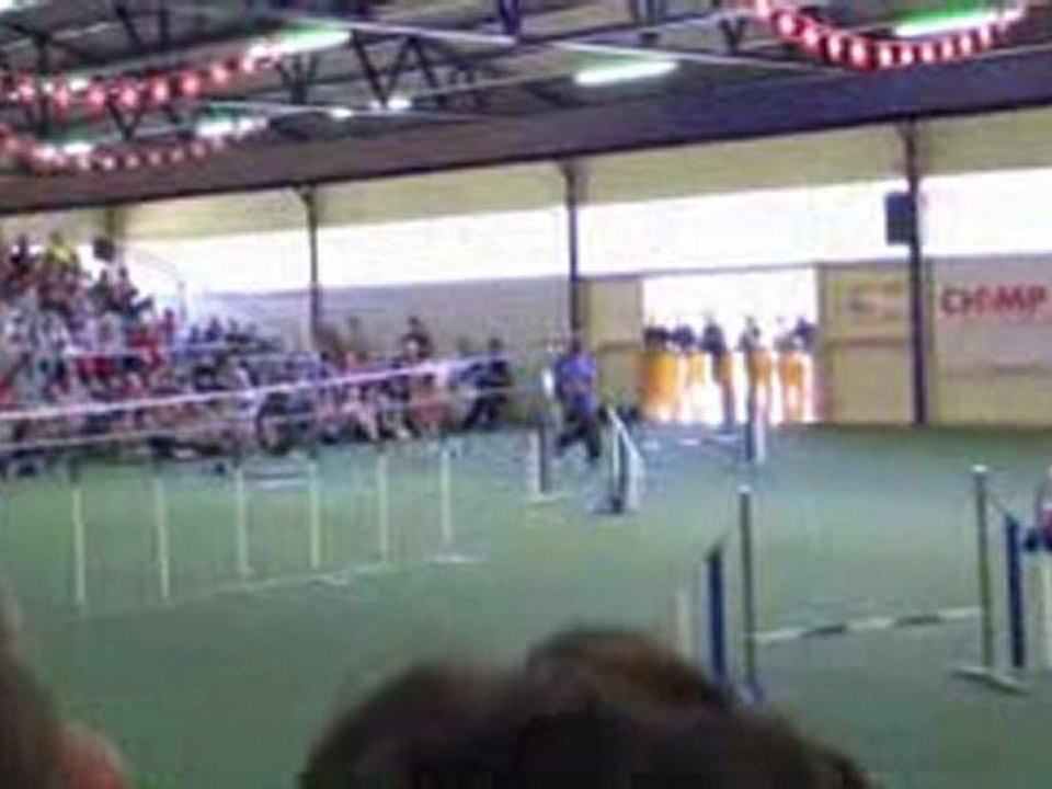Finale championnats Suisse d'agility août 2009