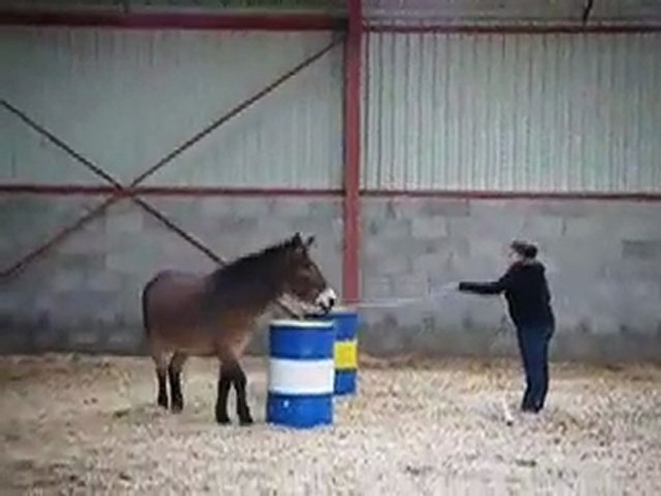 séance éthologie avec Marie Sutter (part2)