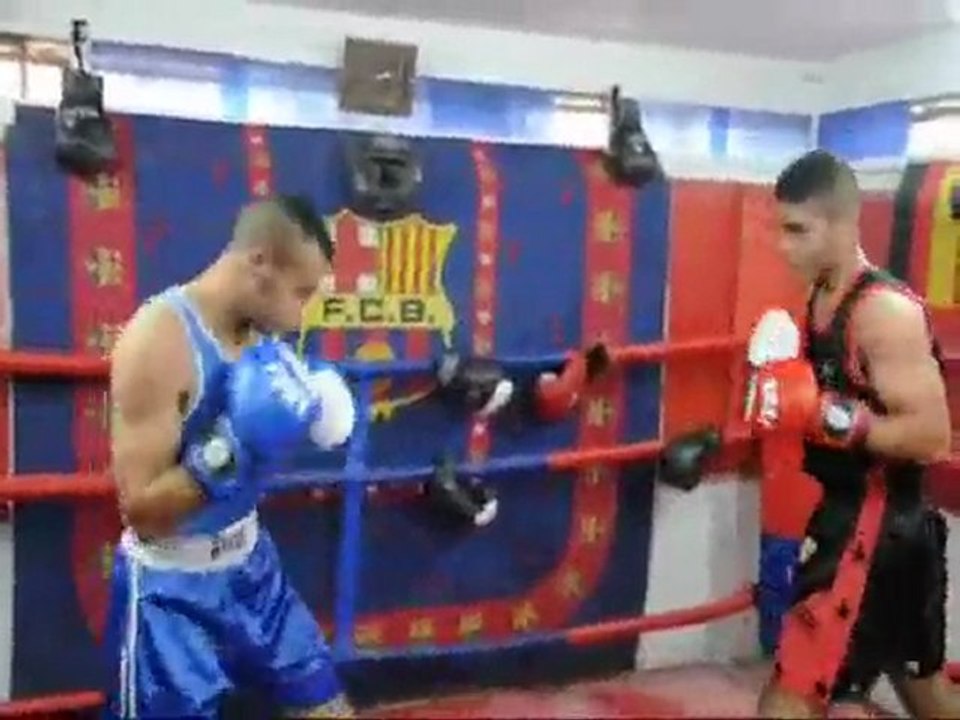 Box Combat