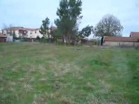 truggy lsp mamba monster 2200kv mmm