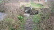 Bij een duinpad zonder duinen