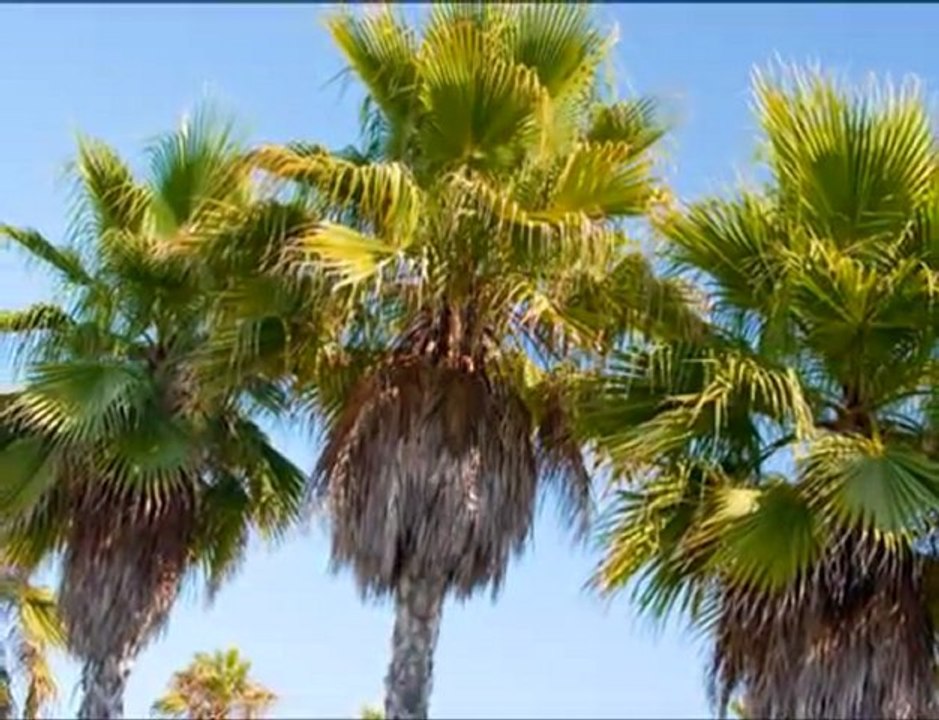 la nature- buneba