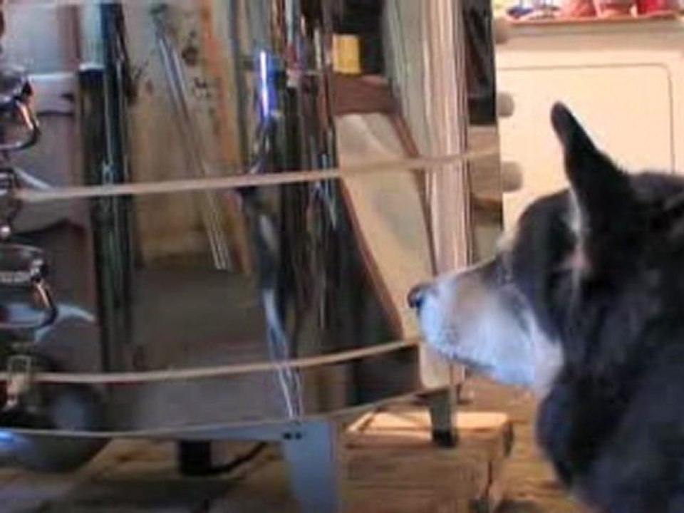 A Year in the Life: Documentary about Clary Illian