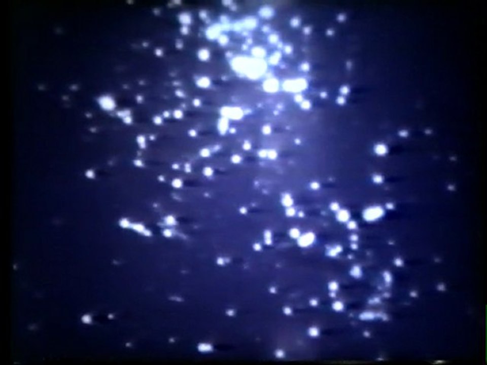 Conrad Schnitzler: Collection A #8 Stimmung