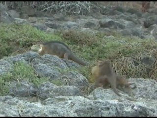 Wild Secrets: Worldwide Ecosystems